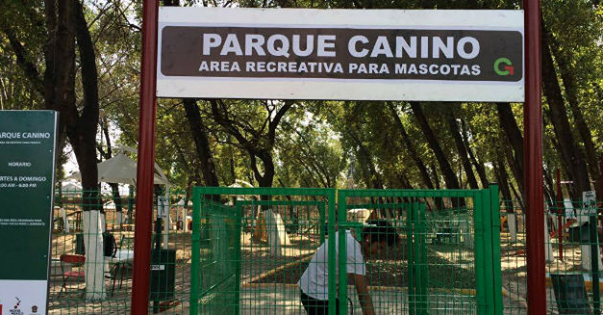 Nuevo parque perros de 4500 metros en edo de mexico