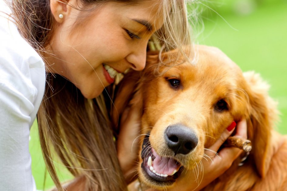 8 razas de perros que les fascina dar besos y abrazos