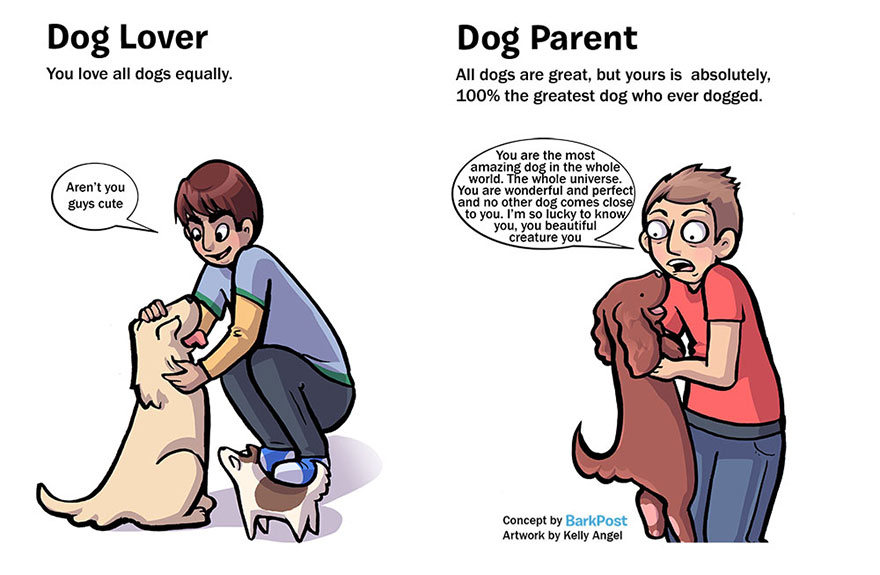 amantes de los perros vs padre de un perro 2
