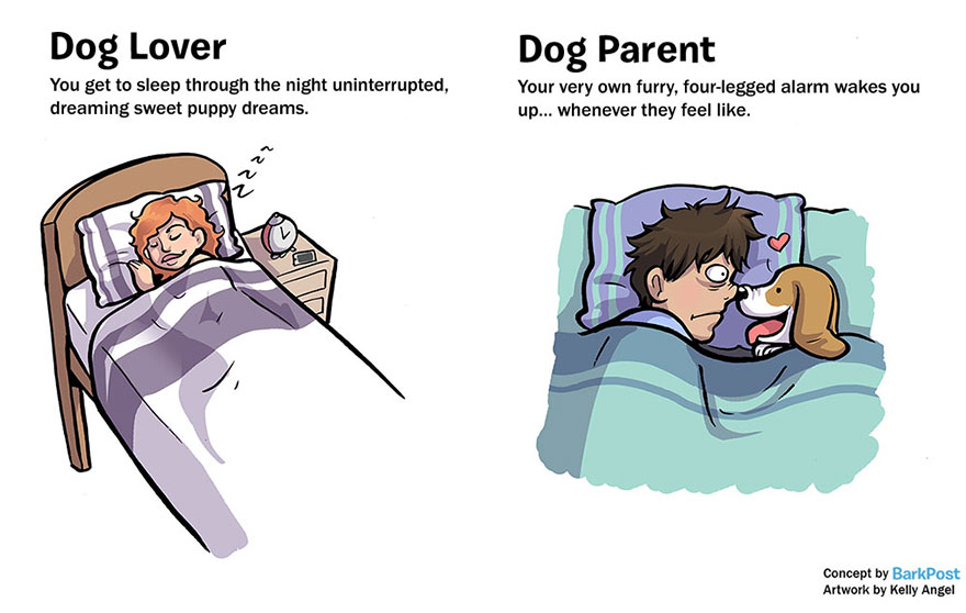 7 Diferencias entre un amante de los perros y una madre/padre de uno ¿Cuál eres?
