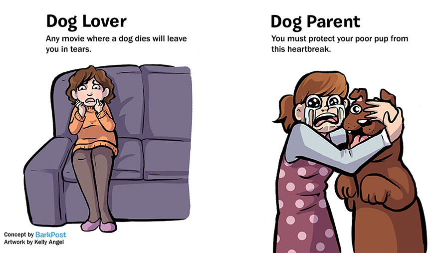 amantes de los perros vs padre de un perro 4