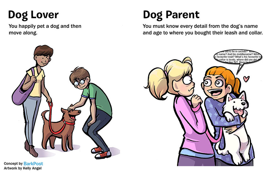 amantes de los perros vs padre de un perro 8