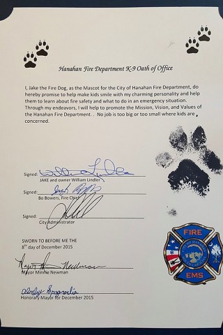 certificado de perro
