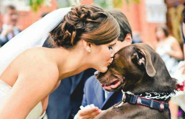 3 maravillosas formas que tu perro participe en tu boda