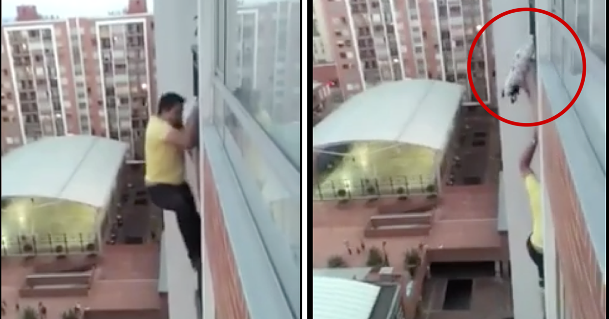 Hombre escala edificio para salvar perro colgando en balcón