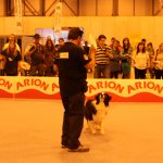 Foto_Animales_Feria Mascota_Madrid