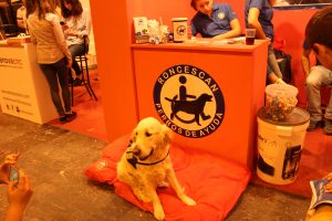 Foto_Animales_Feria Mascota_Madrid