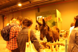 Foto_Animales_Feria Mascota_Madrid