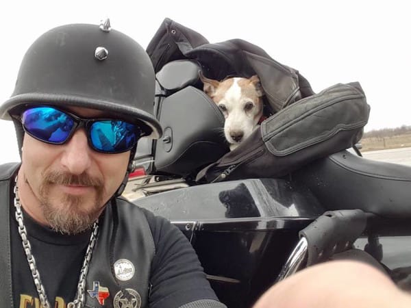 Motociclista se percata hombre golpea perro y decide darle una lección
