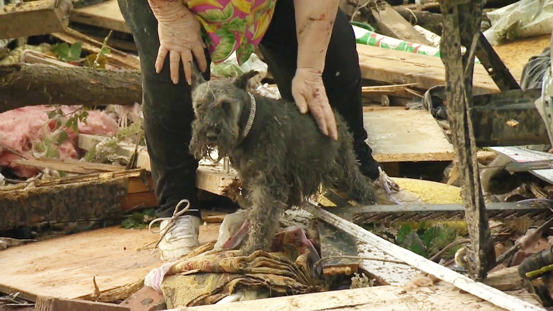 ¡Sobreviviente tornado encuentra su perro debajo escombros durante entrevista!