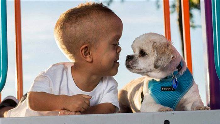 Niño y perro con enanismo superan bullying y vida juntos