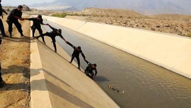 Policías se unen y salvan perro de ser arrastrado por aguas de canal