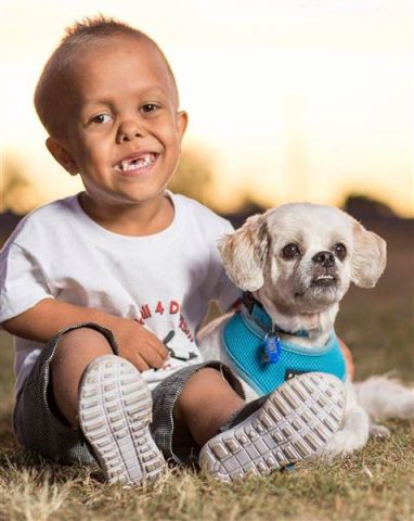 perro ayuda a nino enanismo