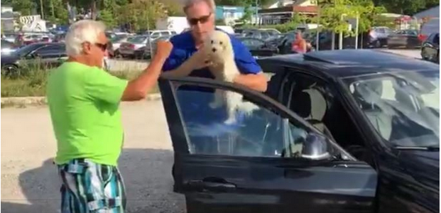 rompe ventana para salvar perro