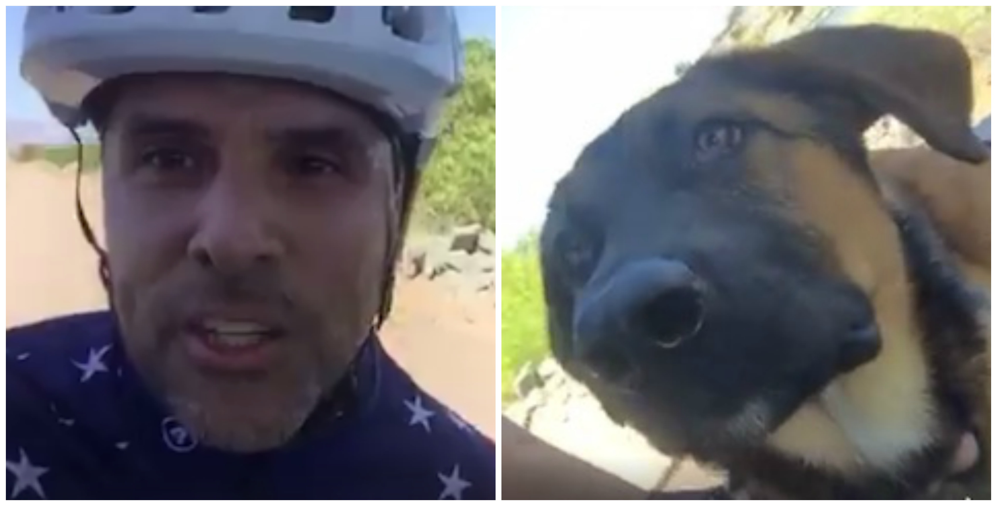 Conductor TV que lloró su perro fallecido, adopta cachorro rescatado de calle