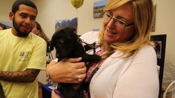 Conoce el hospital que receta cachorros para sanar cuerpo y alma