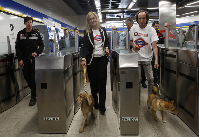 perros pueden viajar en metro madrid