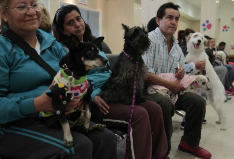 Ciudad de Mexico tendrá segundo hospital para mascotas