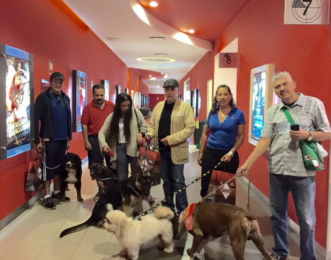 Cinemex crea salas pet friendly; perros ahora pueden ir al cine