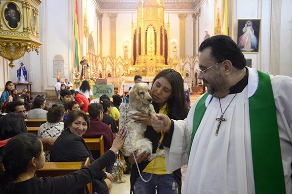 Iglesia incluye mascotas en sus bendiciones