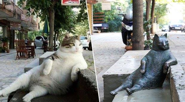 gato homenajeado con estatua