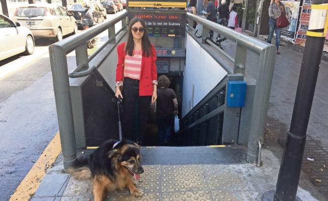 Buenos Aires pide acceso a mascotas en transporte público (metro)