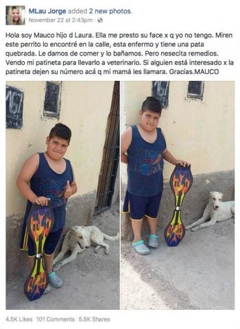 Niño vende juguete y salva perro sin hogar
