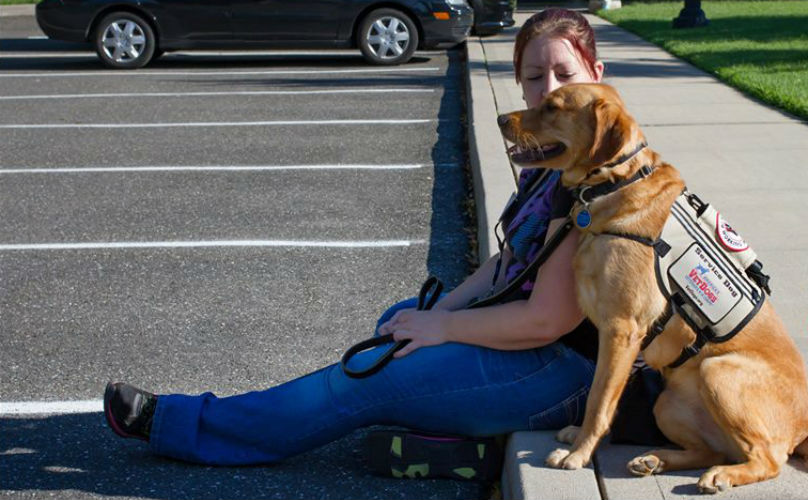 perros ayudan veteranos con estrés postraumático