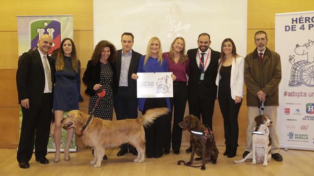 Madrid promueve adopción de perros jubilados