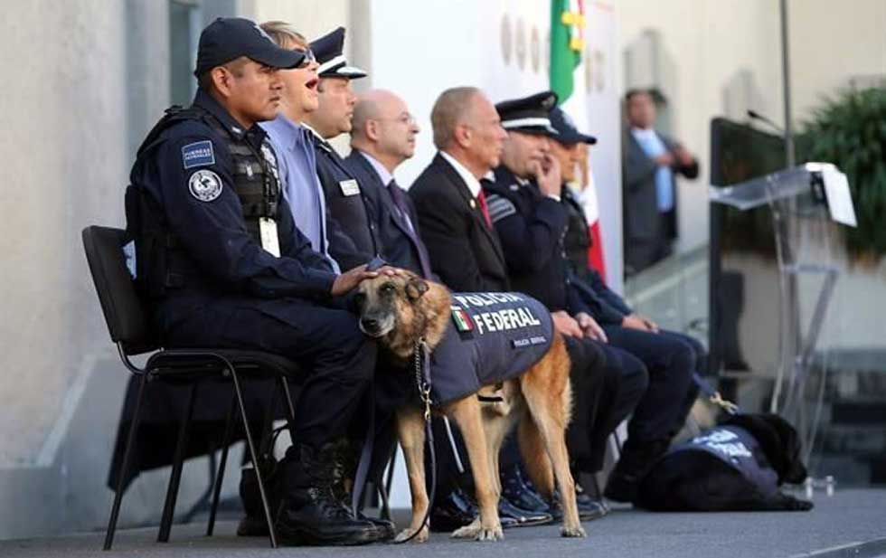 Oficiales caninos conmueven durante jubilación tras una década de servicio