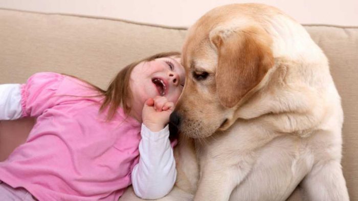 terapias con perros para niños con cáncer