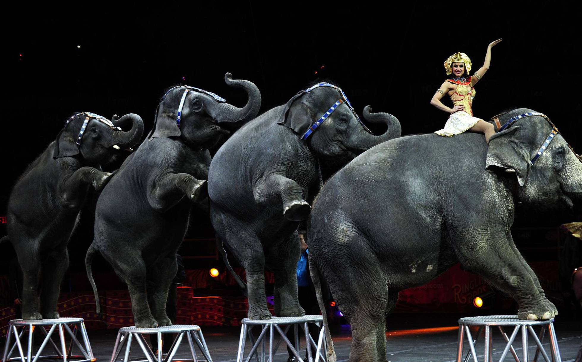 Tras 146 años, el circo más antiguo del mundo cierra
