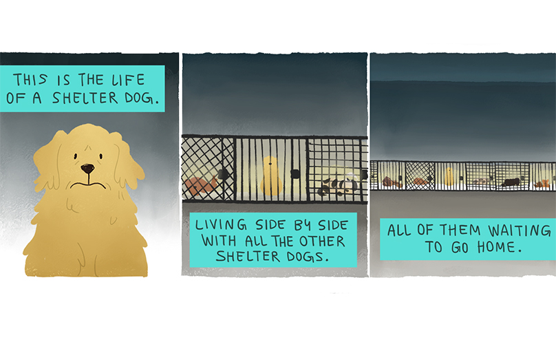 Ilustración vida de perro de refugio