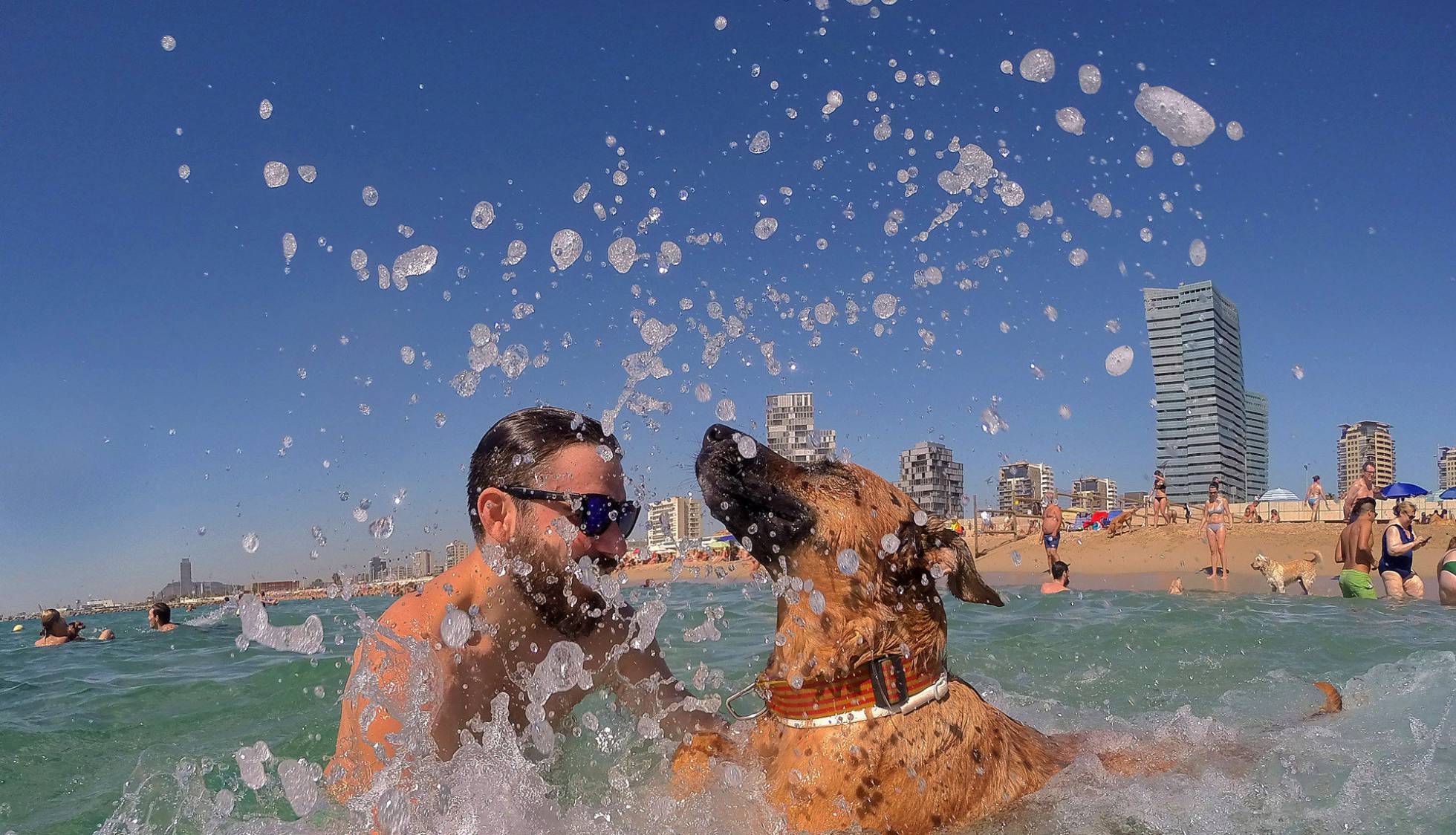 Playa en Barcelona estará abierta para perros