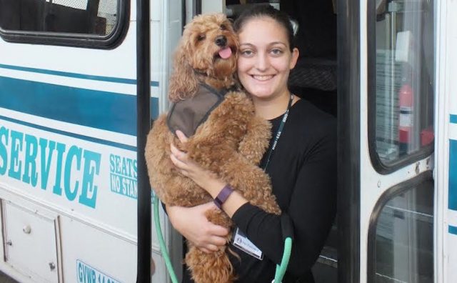 Primer perro viaja libre en Nueva Jersey