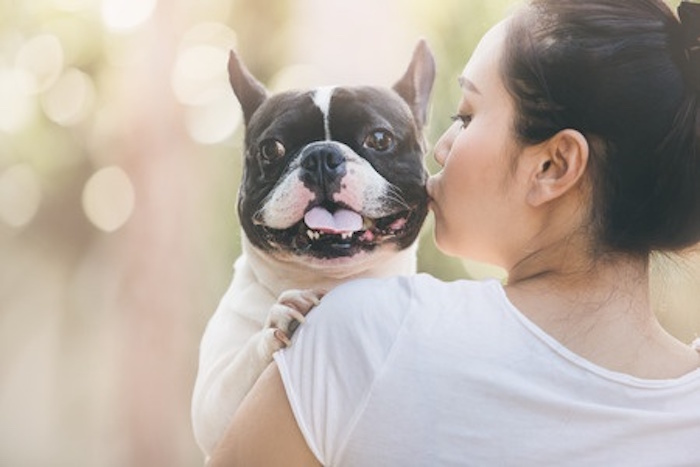 10 retos que tu pareja tendrá que superar si amas a tu perro