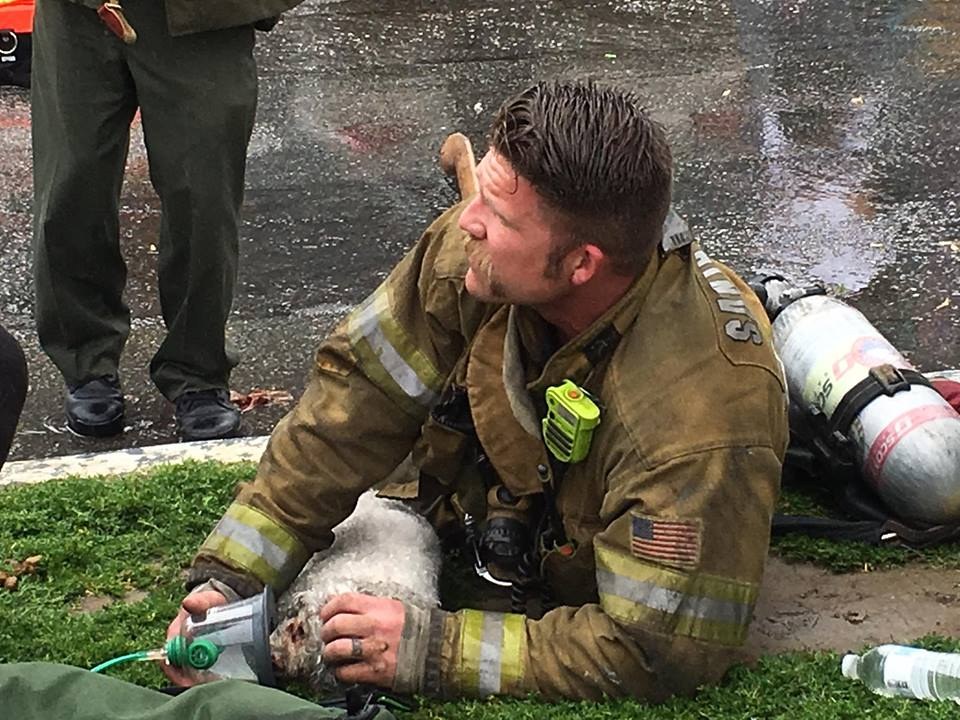 Bombero salva la vida a perro durante incendio