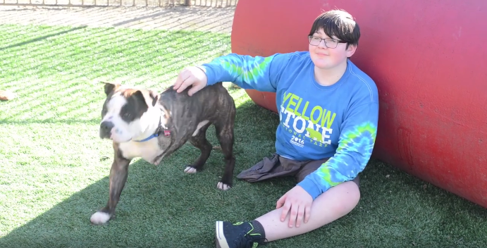Niño perdió pierna por cáncer adopta perro de una sola pata