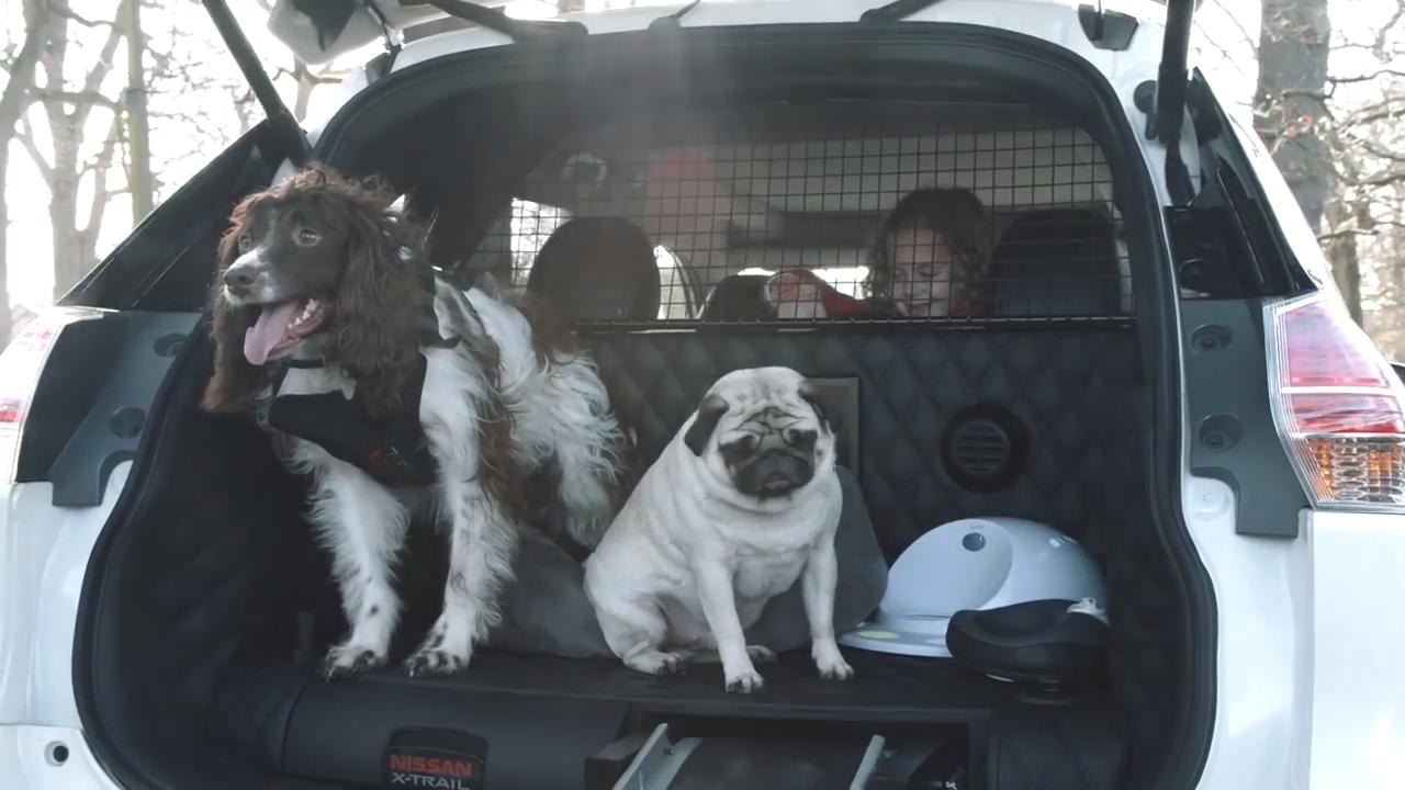 Compañía de automóviles propone vehículo apto para perros