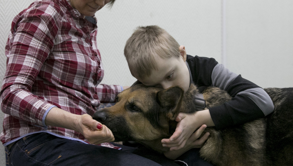 Comprueban perros mejoran comportamiento niños con trastornos mentales
