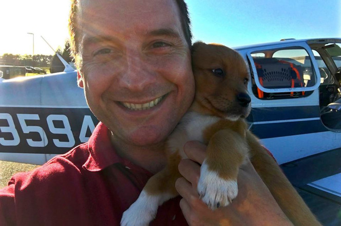 veterinario pilota avión para salvar perros
