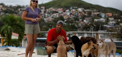Pareja salva 7 perros huracán puerto rico