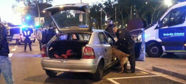 perros policía de la Guardia Urbana de Barcelona